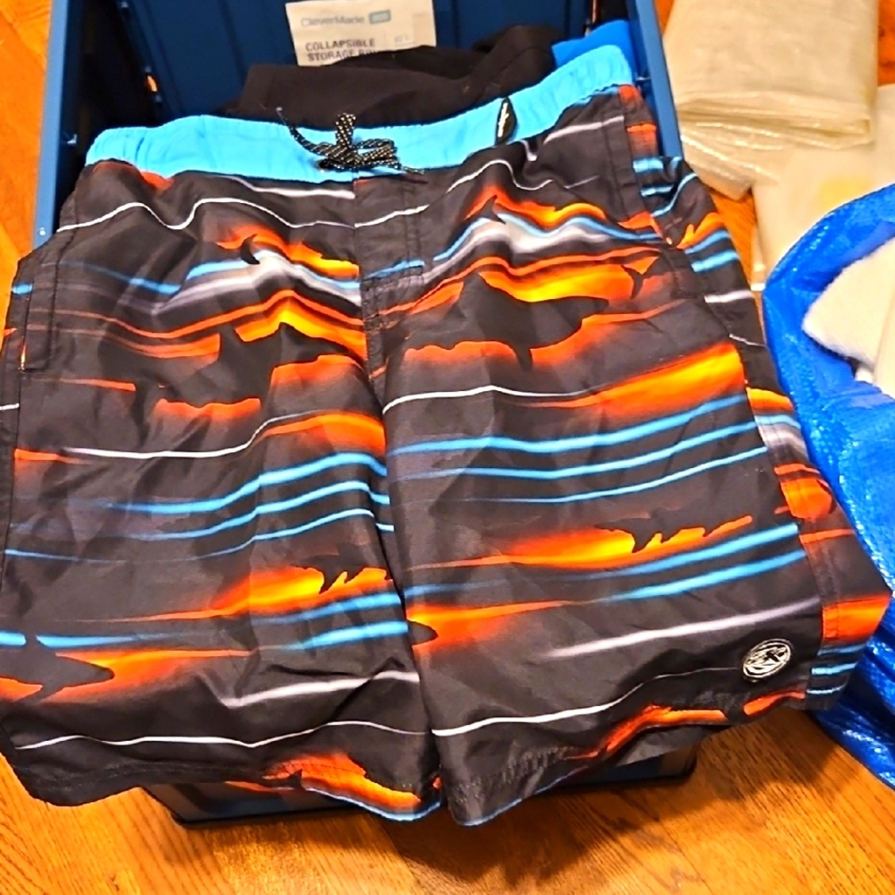 ZeroXPosur  Swim Trunks with Vibrant Stripes